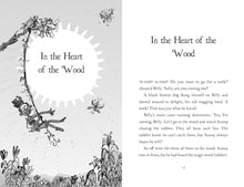 Load image into Gallery viewer, Summer Adventure Stories