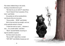 Load image into Gallery viewer, Rabbit and Bear: This Lake is Fake!