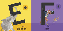 Load image into Gallery viewer, Roald Dahl's ABC