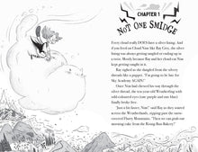 Load image into Gallery viewer, Rainbow Grey