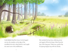 Load image into Gallery viewer, Little Rabbit's Big Surprise