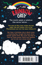 Load image into Gallery viewer, Rainbow Grey