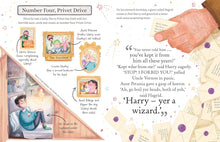 Load image into Gallery viewer, Harry Potter (Pocket Potters – Little Guides to the Harry Potter Stories)