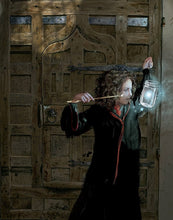 Load image into Gallery viewer, Harry Potter and the Philosopher’s Stone: Illustrated Edition