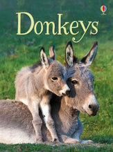 Load image into Gallery viewer, Donkeys