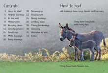 Load image into Gallery viewer, Donkeys
