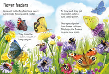 Load image into Gallery viewer, Creepy Crawlies