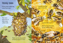 Load image into Gallery viewer, Creepy Crawlies