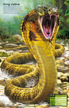 Load image into Gallery viewer, Build Your Own Deadly Animals