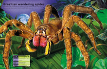 Load image into Gallery viewer, Build Your Own Deadly Animals