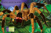 Load image into Gallery viewer, Build Your Own Deadly Animals