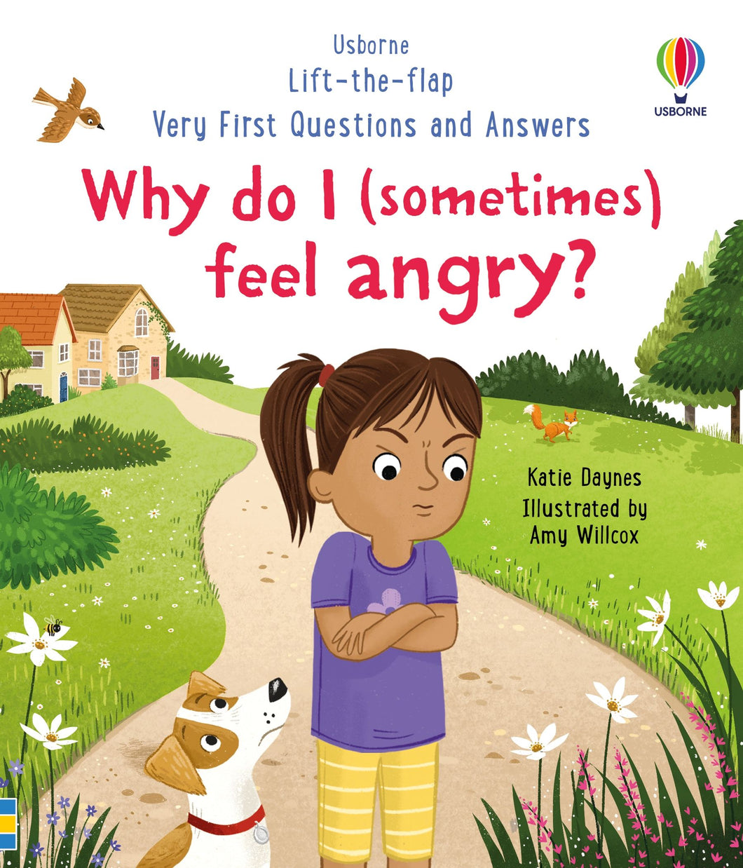 Why do I (sometimes) feel angry?