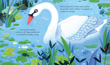 Load image into Gallery viewer, Peep Inside the Pond