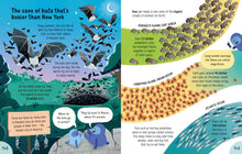 Load image into Gallery viewer, Big Book of Things to Know