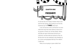 Load image into Gallery viewer, Anisha, Accidental Detective: Beach Disaster