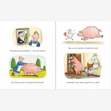 Load image into Gallery viewer, Mo Theachín gan Chuma gan Chaoi (A Squash & A Squeeze)