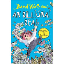 Load image into Gallery viewer, An Billiúnaí Beag