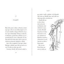 Load image into Gallery viewer, An Fiaclóir Fíochmhar