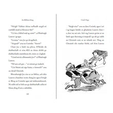 Load image into Gallery viewer, An Billiúnaí Beag