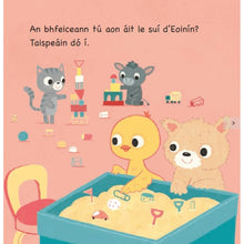 Load image into Gallery viewer, Eoinín agus a Chairde