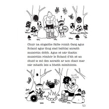 Load image into Gallery viewer, Eachtra Dlúthchara