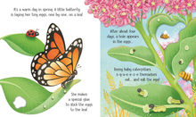Load image into Gallery viewer, One Little Butterfly - Life Cycles Series
