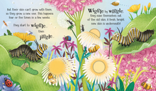 Load image into Gallery viewer, One Little Butterfly - Life Cycles Series