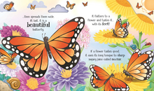 Load image into Gallery viewer, One Little Butterfly - Life Cycles Series