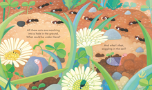 Load image into Gallery viewer, Peep Inside Under the Ground