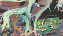 Load image into Gallery viewer, Peep Inside Under the Ground