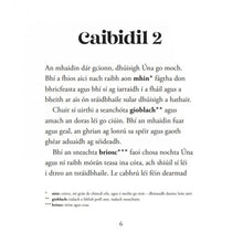 Load image into Gallery viewer, An Mac Tíre Deireanach