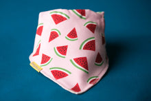 Load image into Gallery viewer, Palestinian Watermelons Organic Cotton Dribbleboo Bandana Bib