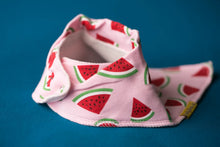 Load image into Gallery viewer, Palestinian Watermelons Organic Cotton Dribbleboo Bandana Bib
