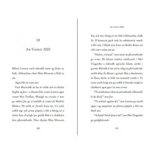 Load image into Gallery viewer, An Billiúnaí Beag