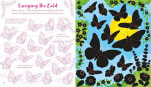 Load image into Gallery viewer, Usborne Scratch Activities Butterflies