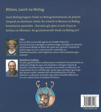 Load image into Gallery viewer, Blitzen - Laoch na Nollag