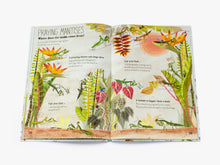 Load image into Gallery viewer, The Big Book of Bugs