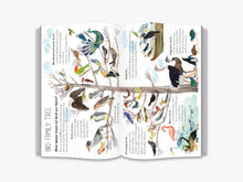 Load image into Gallery viewer, The Big Book of Birds