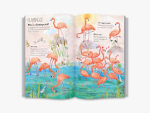 Load image into Gallery viewer, The Big Book of Birds