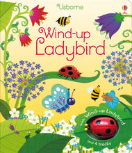 Load image into Gallery viewer, Wind-up Ladybird