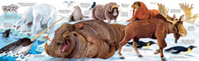 Load image into Gallery viewer, Big Book of Animals