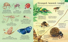 Load image into Gallery viewer, Big Book of Bugs