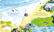 Load image into Gallery viewer, Peep Inside the Seashore