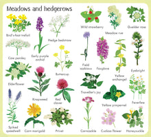 Load image into Gallery viewer, 199 Flowers