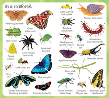 Load image into Gallery viewer, 199 Bugs