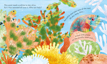 Load image into Gallery viewer, Peep Inside a Coral Reef