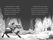 Load image into Gallery viewer, Christmas Mystery