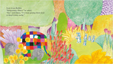 Load image into Gallery viewer, Elmer and the Bedtime Story