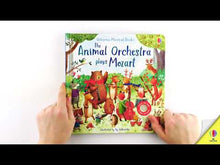 Load and play video in Gallery viewer, The Animal Orchestra Plays Mozart