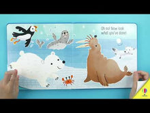 Load and play video in Gallery viewer, Don't Tickle the Polar Bear!